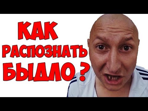 Вопрос: Кто такие перкрокутиды?