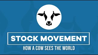 HOW A COW SEES THE WORLD