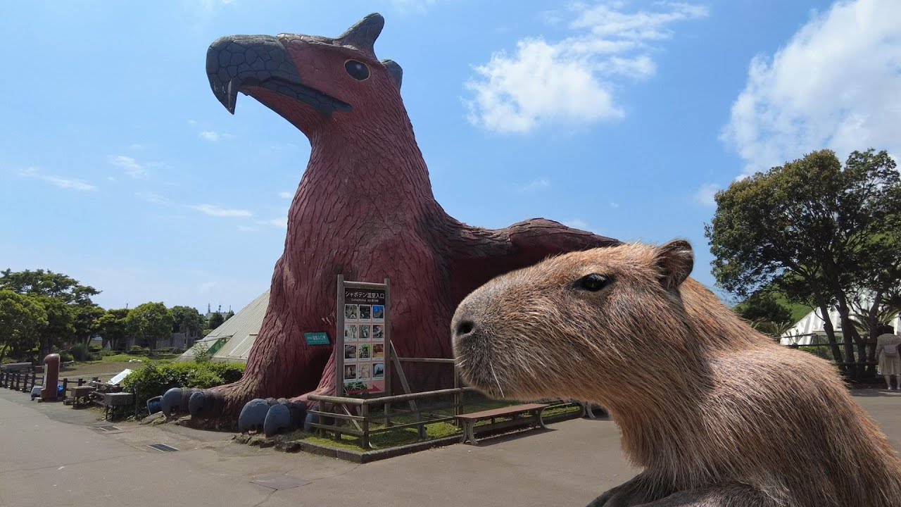 【Поездка на капибару】Однодневная поездка на поезде и автобусе Зоопарк Идзу Шаботен