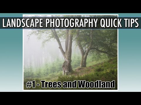 Landscape Photography Quick Tips #1 - Photographing Trees and Woodland