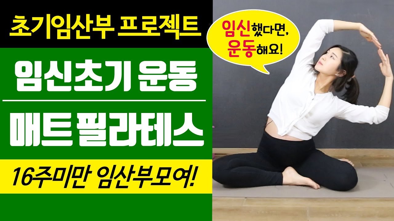 [초기임산부 운동] 12-35주 임신초기도 가능한 매트필라테스 이걸로 끝낸다!