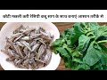 Bengali small fish curry recipe with kaddu saag      small fish recipefish recipe