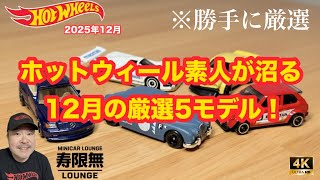 My personal selection of 5 Hot Wheels models for December that