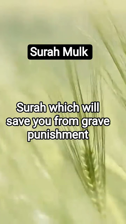 Save from punishment #surahmulk #islam #relax #quran