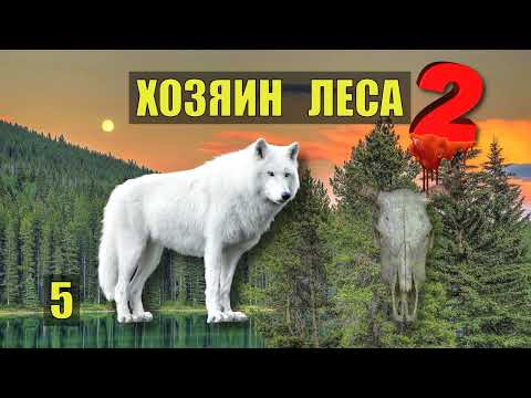 ЗЛОЙ ДУХ ЛЕСА и ВОЛК КТО ХОЗЯИН ? ЛЕСА НАХОДКА СУДЬБА в ТАЙГЕ СТРАШНЫЕ ИСТОРИИ из ЖИЗНИ СЕРИАЛ 5