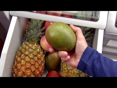 Alton Brown Diet Episode