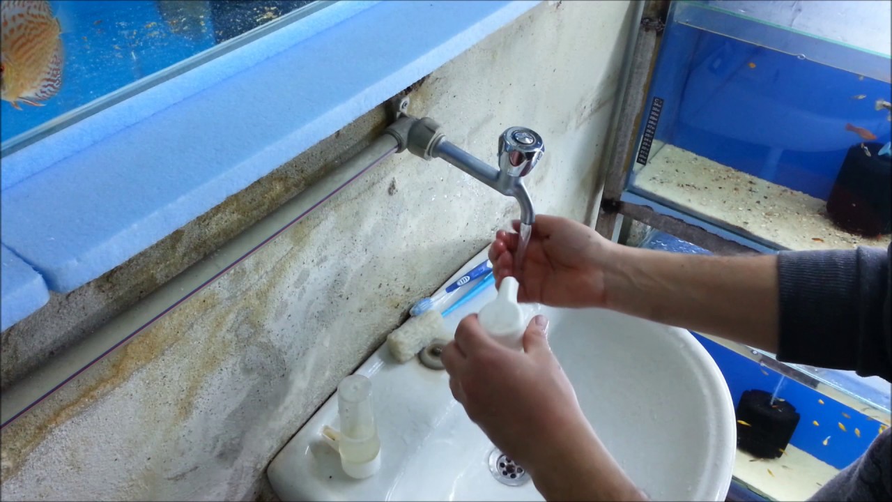 Hobihanem - Kanarya Vlog #4 (Suluk Temizliği & Su Değimi) [02.03.2017]