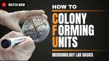 Colony Forming Units (CFUs) in Microbiology: Estimating Bacterial Concentrations | Microbiology Lab