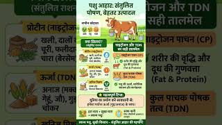 पशु आहार मै TDN व नाइट्रोजन प्रोटीन की भूमिका #animals #farm #farming #trending #viral #facts