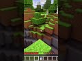 Real water【Minecraft】