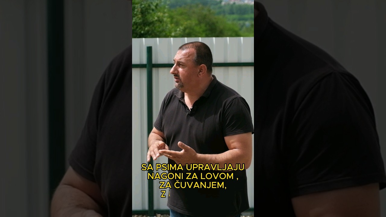 Psi se razlikuju po karakteru!