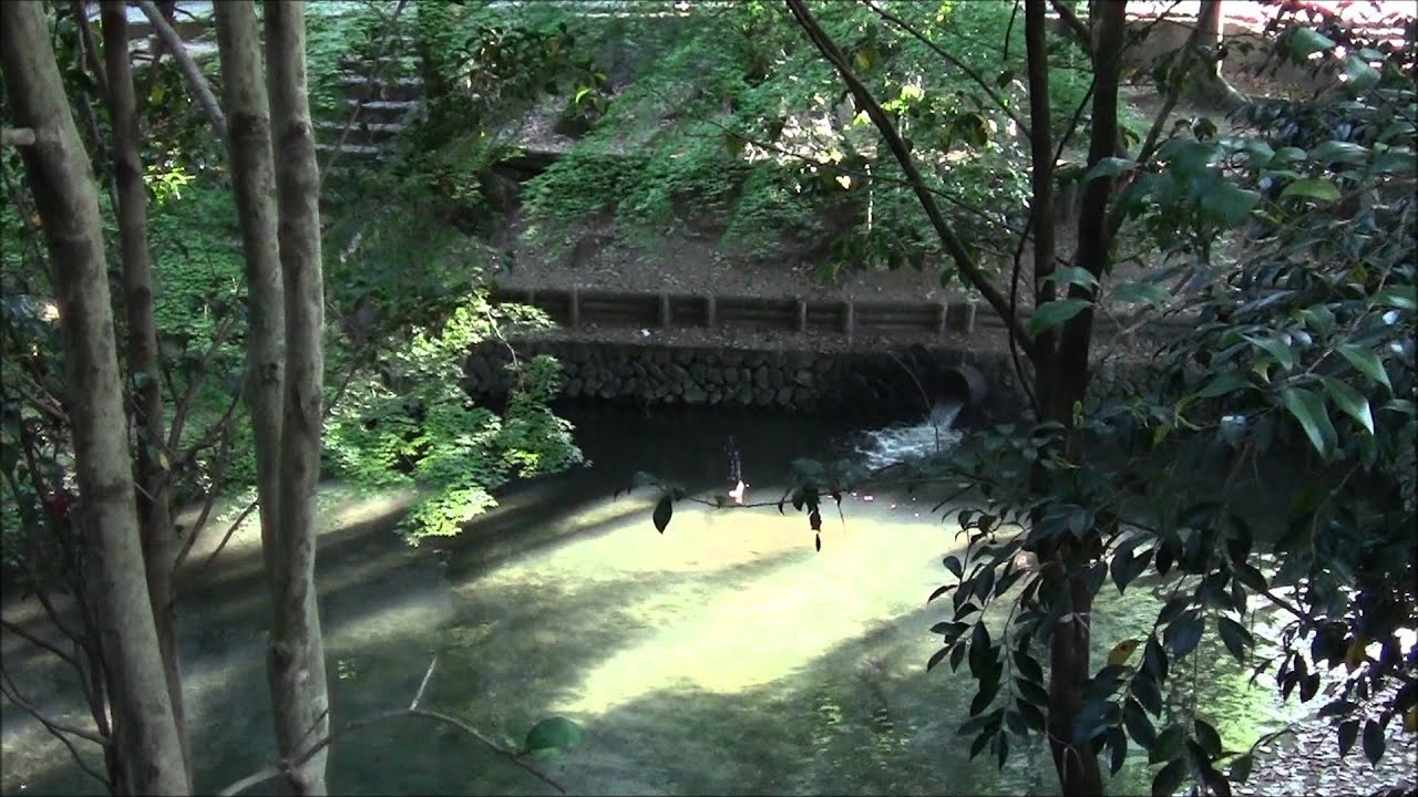 湯築城跡道後公園　Yuzuki Castle Ruins and Dogo Park