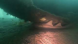 Blue Heron Bridge dive 2025-07-19 Net Worth