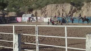 Rodeo los flores  (rodeo por cancer de mama) #octubrerosa