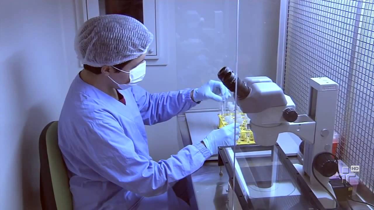 Técnica de fecundação in vitro para engravidar - YouTube