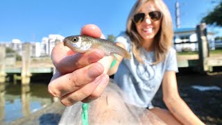 Save Money + Catch Giants With this Bait - How to Catch and Rig Mud Minnows