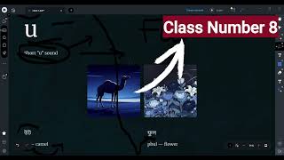 Bangla for Beginners | Learn Bengali Alphabet & Basics Fast screenshot 5