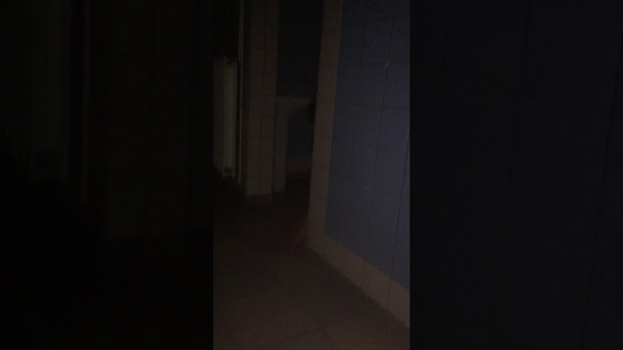 La partouze de l’horreur épisode 1