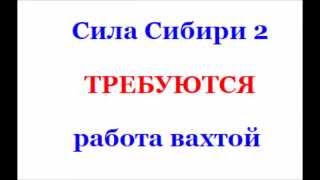 Сила Сибири 2 и работа вахтой в России вакансии до 2017