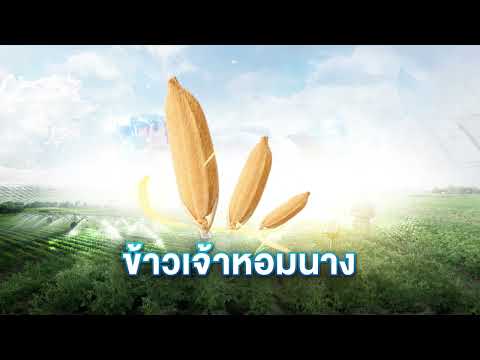 Party Rice ข้าวเจ้าหอมนาง I AgTech Connext 2026