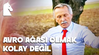 Avro Ağası Olmak Kolay Değil | Arama Moturu