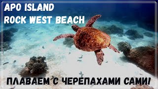 Apo Island, Rock west beach, turtles (Остров Апо на лодке, черепахи, дикий пляж)