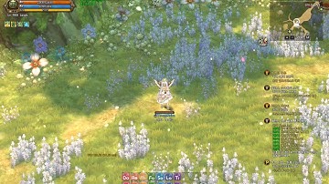 TOS Use the pied piper to play the violet ED