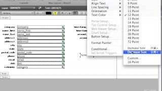 Celebrity FileMaker Tutorial - 057 - Text Tool pt 1 Profile