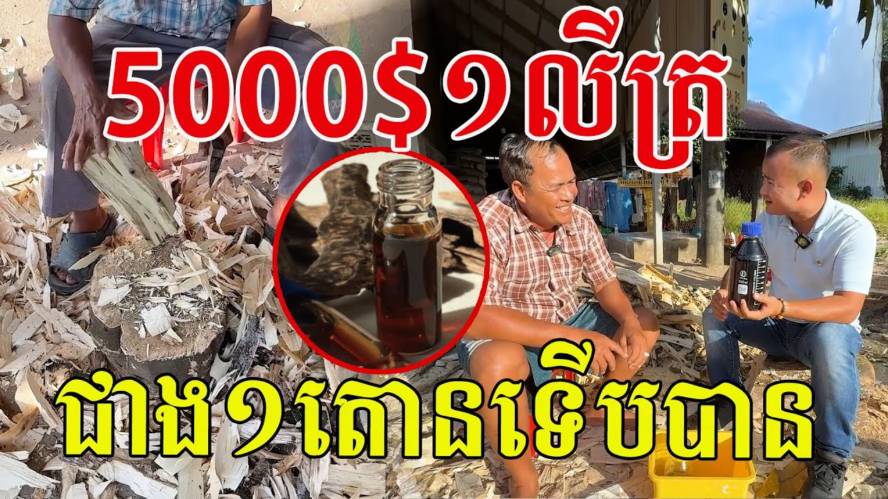 ម្ចាស់ថ្លៃ​ ជាង5000$ ក្នុង១លីត្រ​ ជាង១តោនទេីបបាន