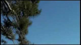 Visual FX Test (flying)