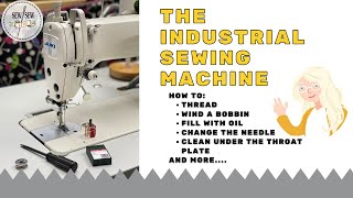 What Kind of Oil Can You Use On a Sewing Machine (Guide To Lubricating  Sewing Machines) - Gathering Thread