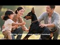 What I’m Changing With My Dobermans in 2026 No One Will Like This