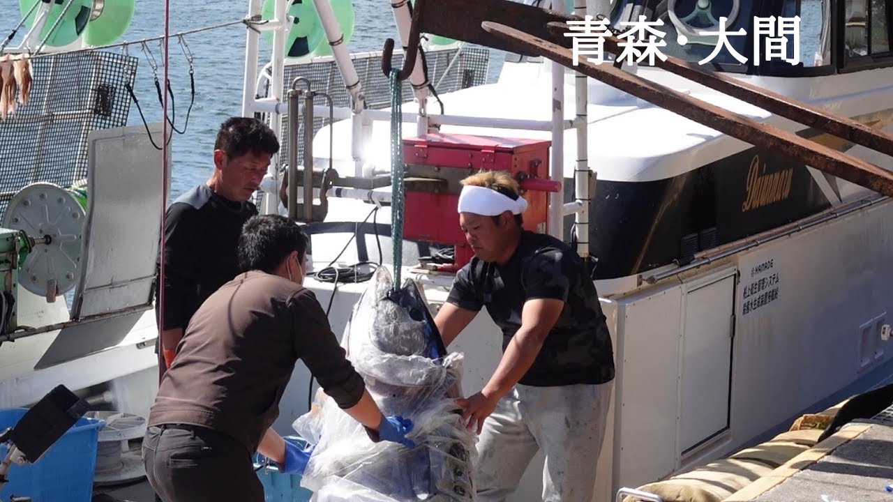 【日本一周㊷】これがリアルな大間漁師の水揚げ！菊池一族の恐るべし実力を見た！！