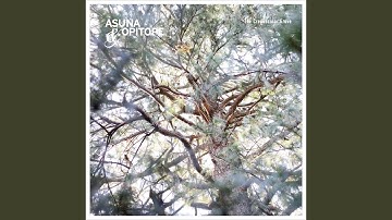 preparing for a new journey.