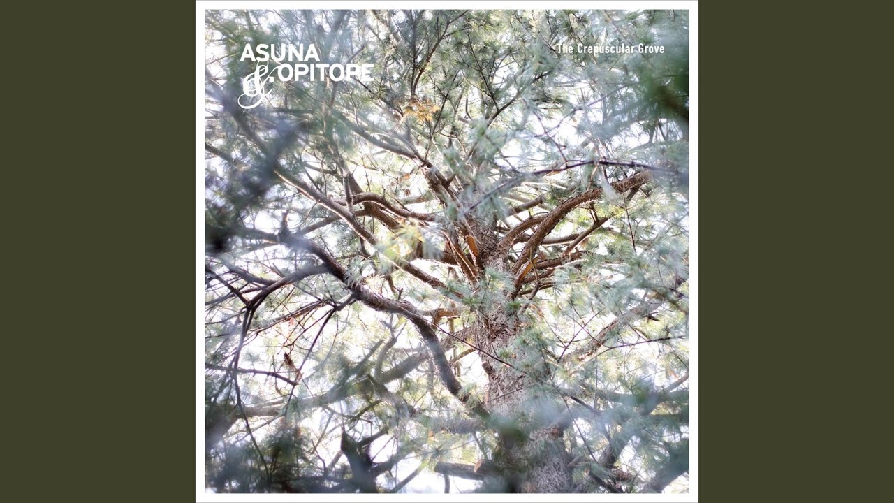 preparing for a new journey.