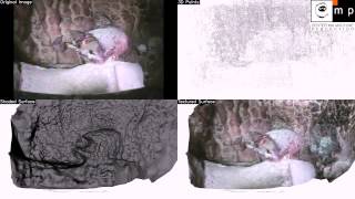 VisualSFM - CMPMVS, St. George's Cave 1