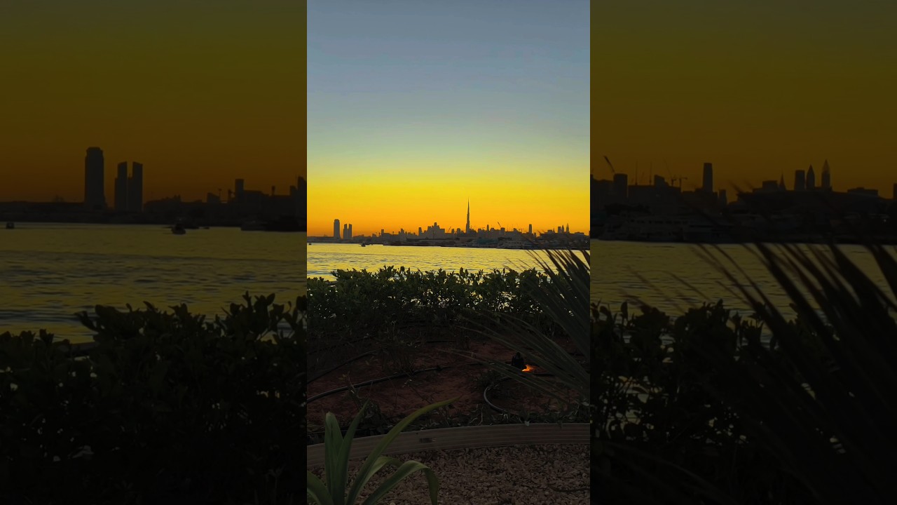 Golden Hour on the Creek