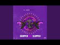 I Wish Chopped Not Slopped mp3