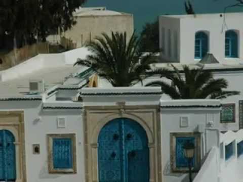 نتفك ر رؤوف بن عمر