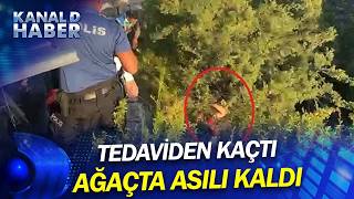 Kaçışın Sonu Dere Yatağında Son Buldu Tedaviden Kaçan Genç Dere Yatağına Düşünce...