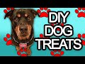 DIY DOG TREATS | 4 EASY TREATS FOR YOUR PUP! | As Told By Abby