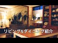 【部屋紹介】キャビネット収納 / 観葉植物について / オープンラック収納 / 間接照明の紹介