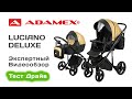 Adamex Luciano Deluxe коляска 2 в 1 выбираем с экспертом на Тест Драйве