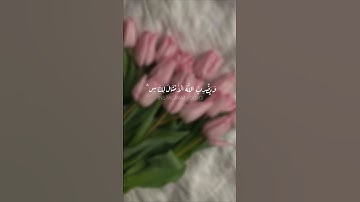 نورٌ على نور | سورة النور | صوت القارئ شريف مصطفى