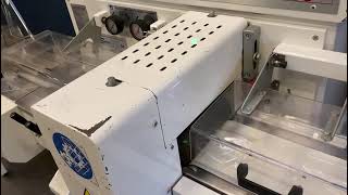 1996 Record Panda 1000 Flowpacker