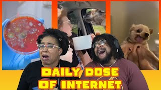 Daily Dose Of Internet: Bathroom Cooties and Llama Assault! ft. Chavezz