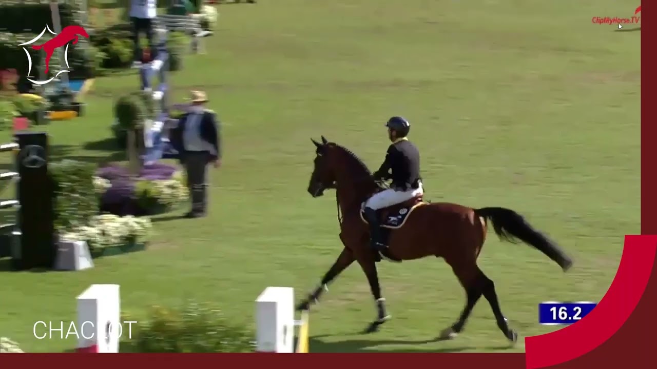 CHACLOT - France Etalons - 2026