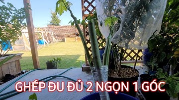 GHÉP ĐU ĐỦ 2 ĐỌT VÔ 1 GÓC. Clip#203