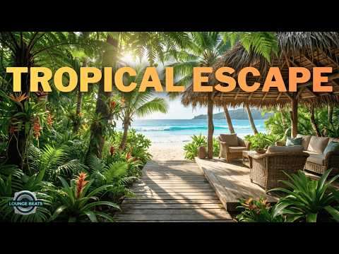 Hidden Tropical Beach 🌊 Chillout Lounge Music for Relaxing & Calm
