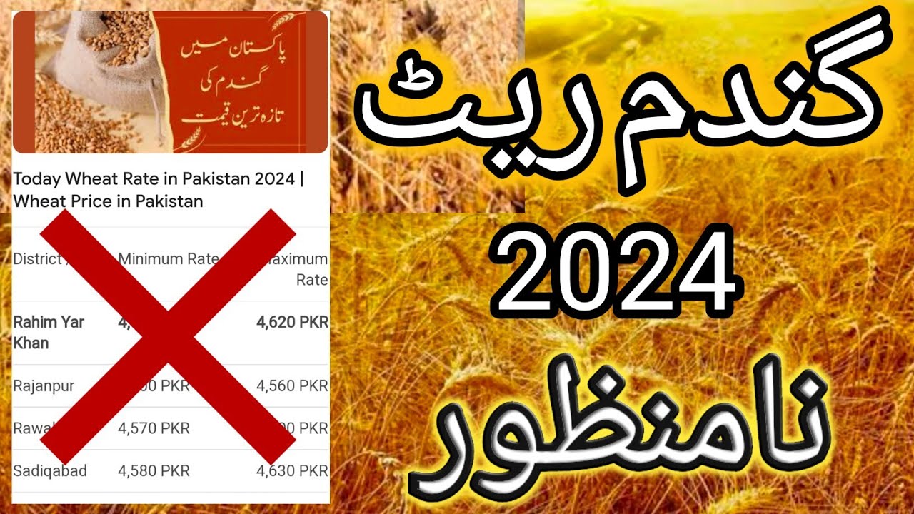 Gandam Fee Mann Rate 2024 || نیا ریٹ آگیا || New Wheat Price In Punjab ...